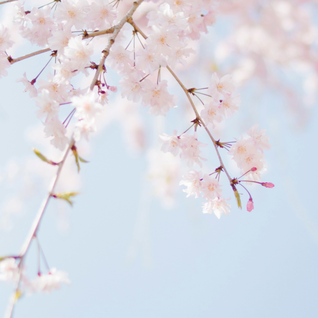 Bli med på dugnad i og rundt Salhus menighetssenter!