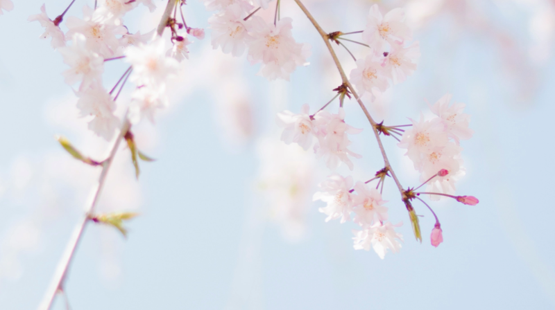 Bli med på dugnad i og rundt Salhus menighetssenter!