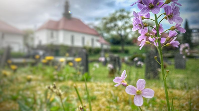 Foto: Linda Vabø