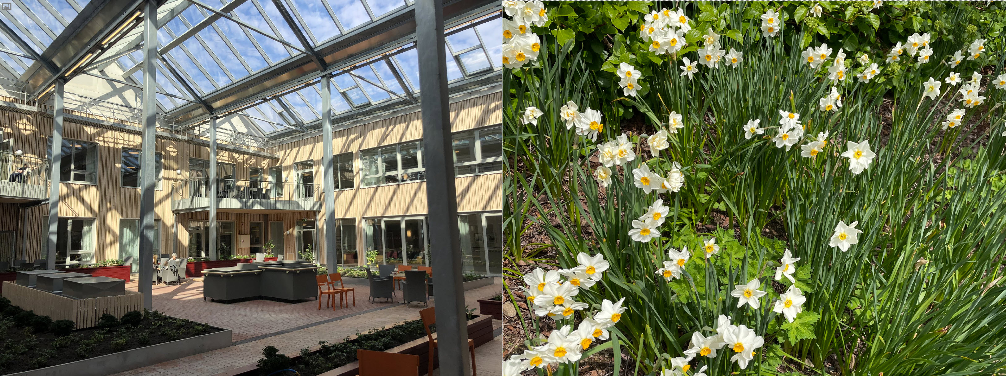 Korsang og allsang i atriet