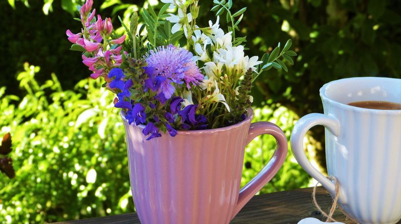 Sommerens gudstjenester