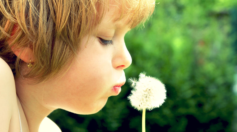 Sommeravslutning for Familiedag og Babysang