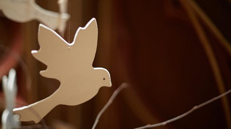 Håpesdue - foro Lars Verket