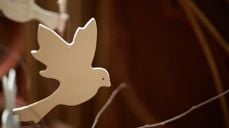 Foto: Lars Verket/DnK