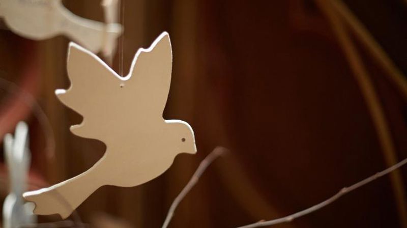 Håpesdue - foro Lars Verket