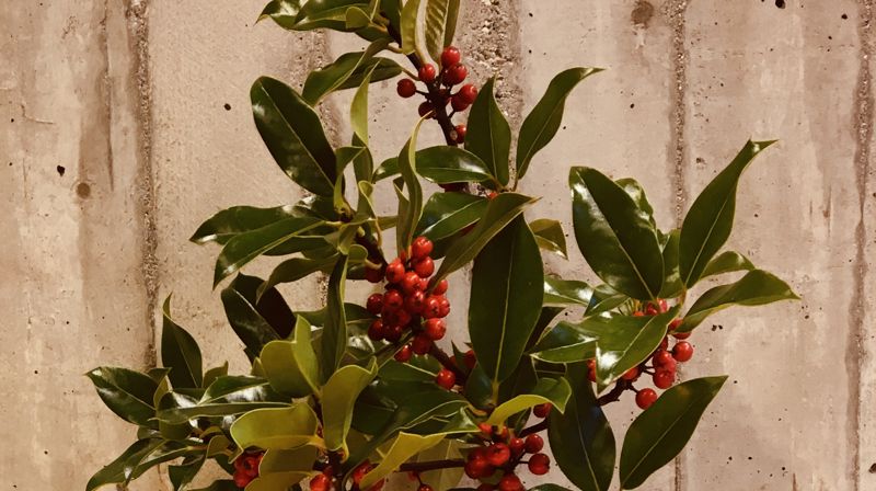 Andre søndag i advent: åpent kirkerom