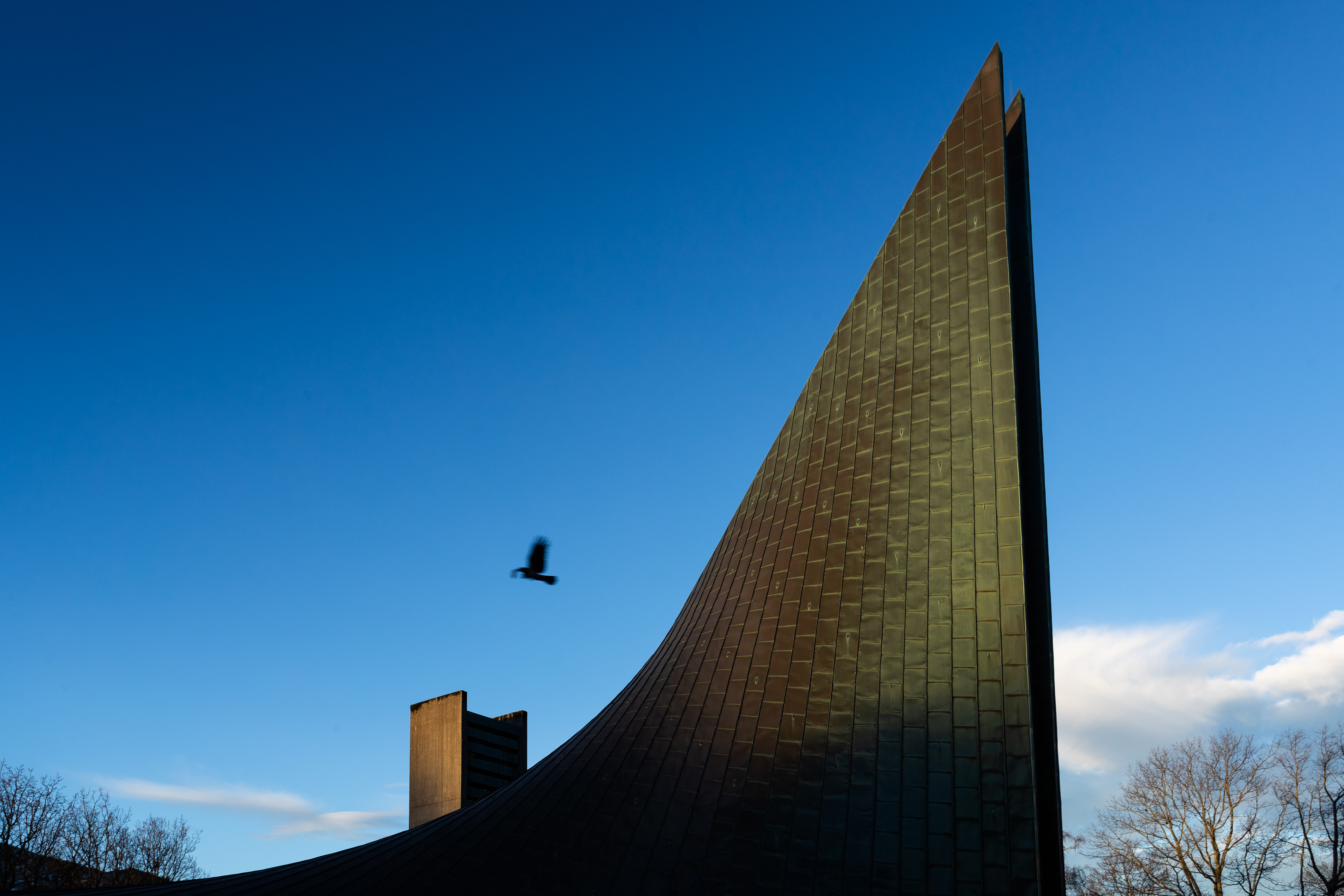 Fugl over taket på Slettebakken kirke. Foto: Lars Kristian Steen