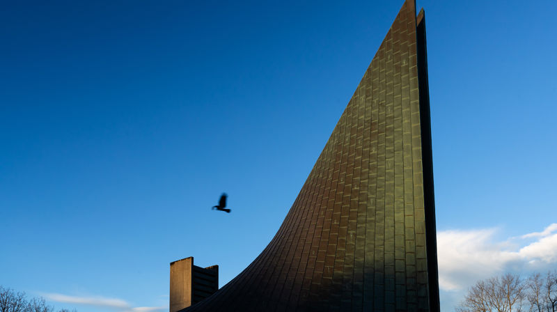 Fugl over taket på Slettebakken kirke. Foto: Lars Kristian Steen