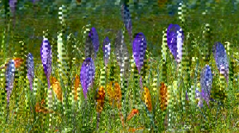 Påsken i Slettebakken menighet!