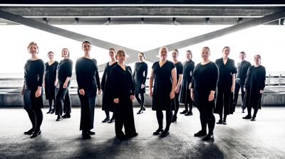 Draumkvedet med Multa Paucis