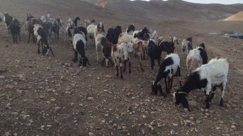 Pilgrimsreisens tredje etappe