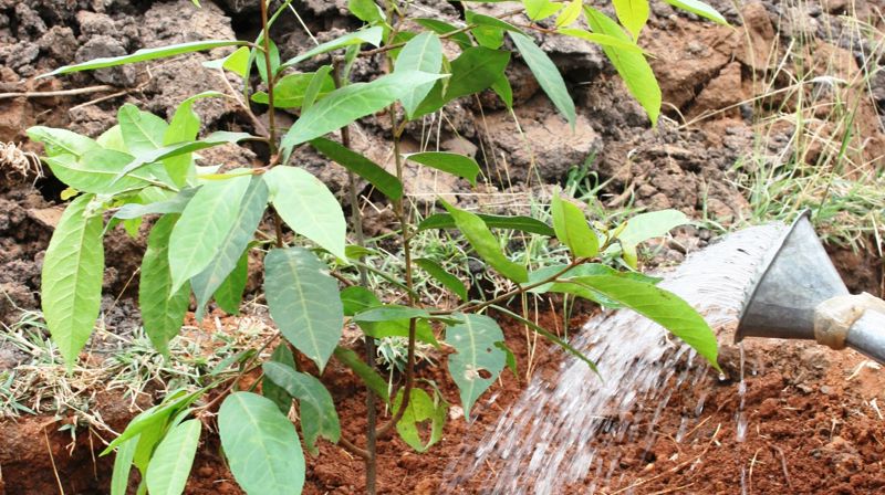 Håp - fortelling fra Fasteaksjonen 3.søndag i fastetiden