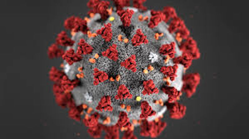 Oppdatert 12. november: Informasjon om tiltak i forbindelse med koronaviruset (covid-19)