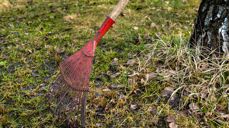 Illustrasjonsfoto fra Pixabay. Rive. Fotograf: Alexei_other