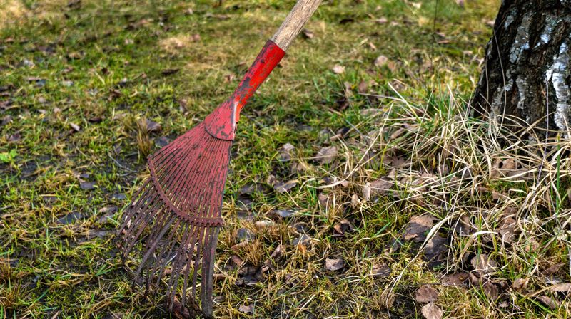 Illustrasjonsfoto fra Pixabay. Rive. Fotograf: Alexei_other