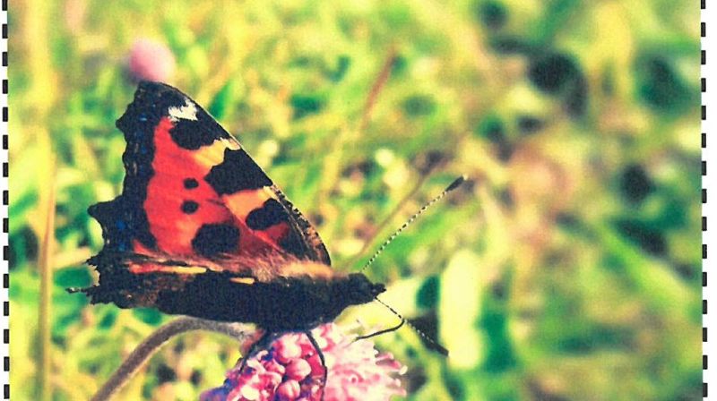 Konsert med Colours og Tutti Frutti 26. mai kl. 17.00 i Tverlandet kirke