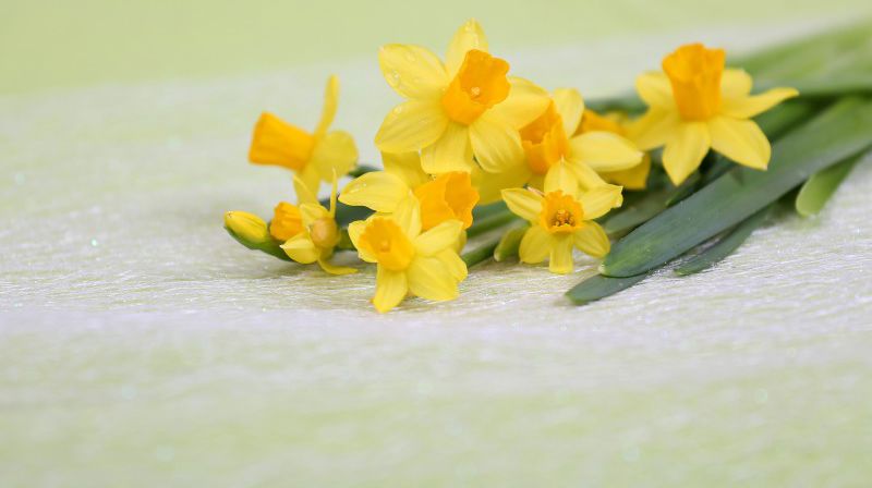 Påskens program 2021 i Saltstraumen menighet.