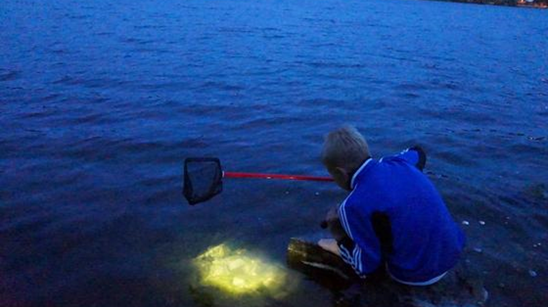 Bli med på Vann - og krepseleir for 5.-8. klasse!