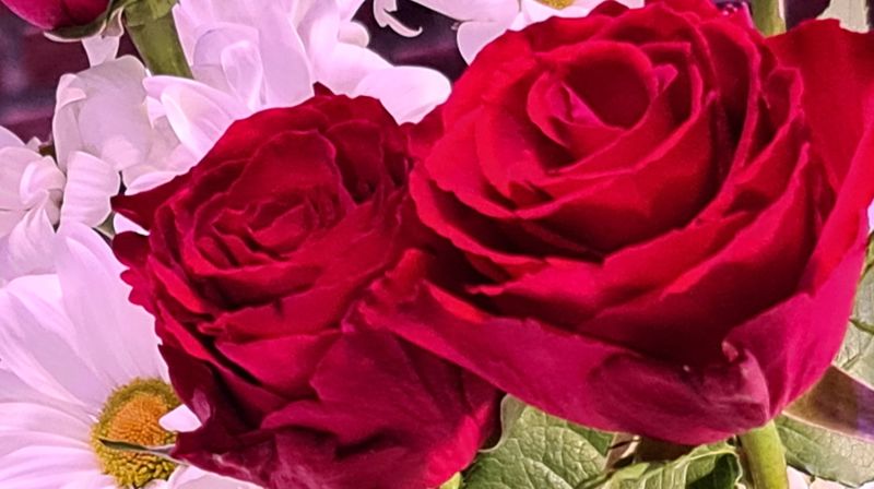 Dere skal bli i byen… en preken til Kristi Himmelfartsdag