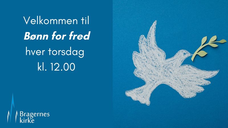 Bønn for fred hver torsdag kl. 12 i Bragernes kirke