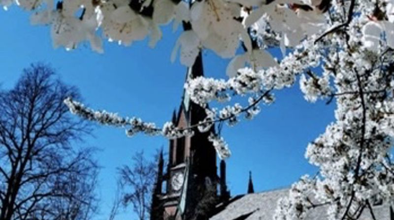 Sommerutgaven av Kirkeposten 2020