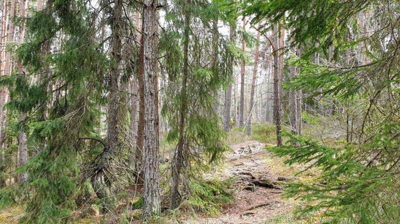 Med Ivar og Galina på gudstjeneste