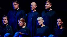 SKRUK (Foto: D. Lawson)