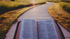 Foto: Pablo.buffer.com