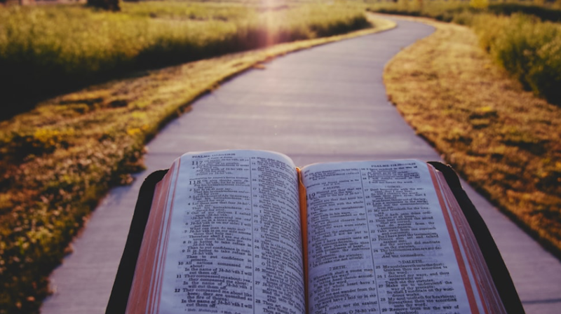 Foto: Pablo.buffer.com