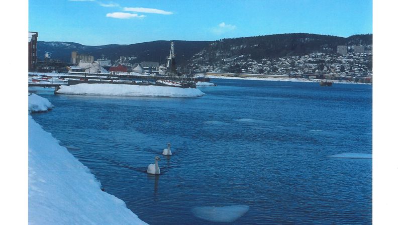 Tangen menighetsblad nr. 1/2019