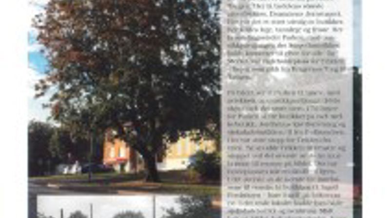 Tangen Menighetsblad trenger medarbeidere