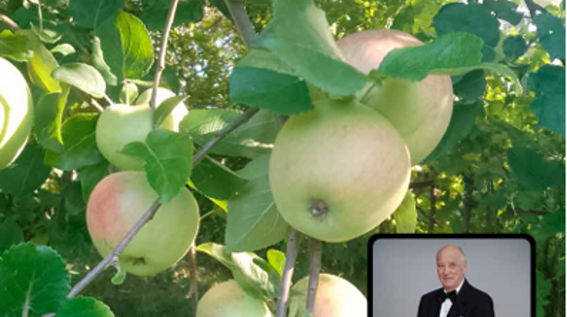 Kirkebladet for Tangen og Strømsø nr. 2 - 2026