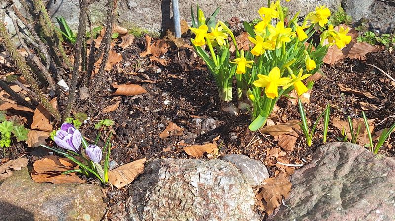 Påskevandringsgudstjeneste 19. april