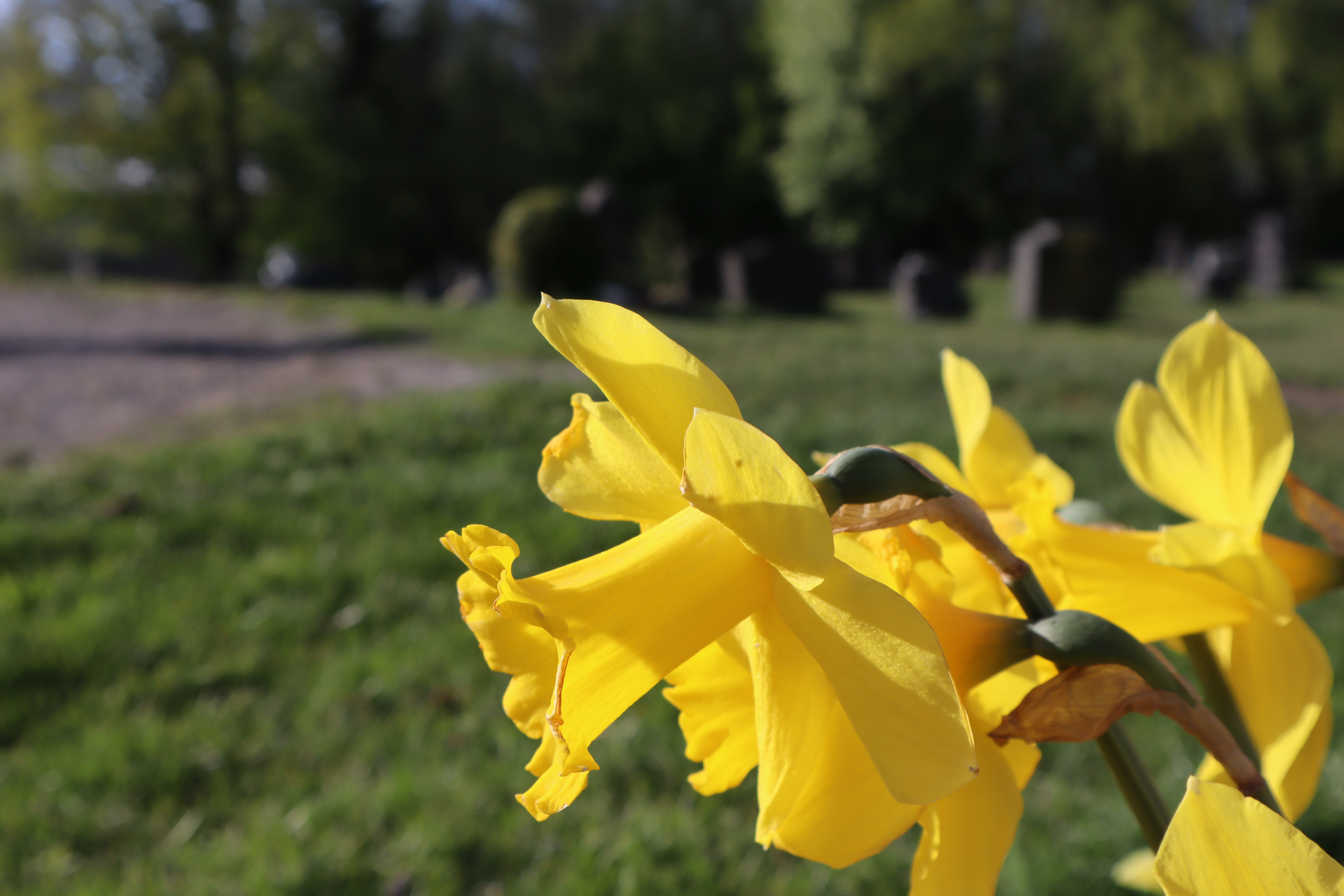 Informasjon til deg som pårørende