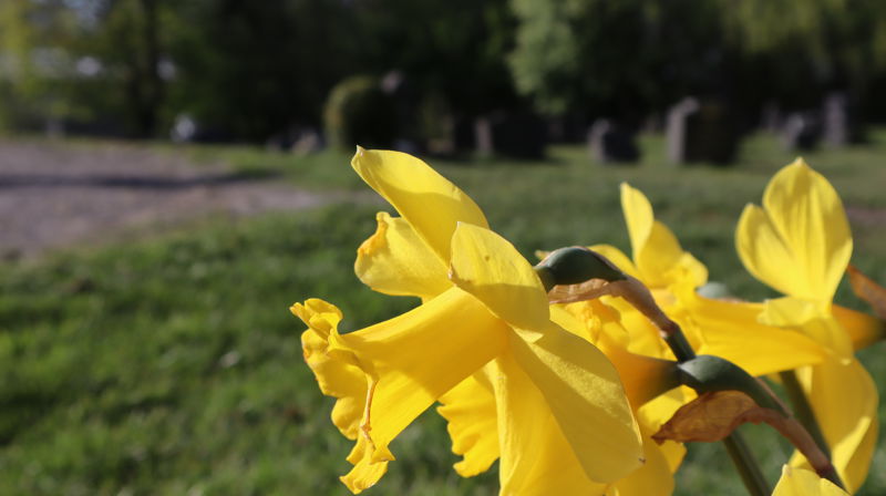 Informasjon til deg som pårørende