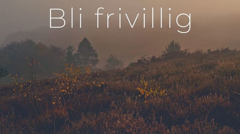 Vil du gjøre en innsats?