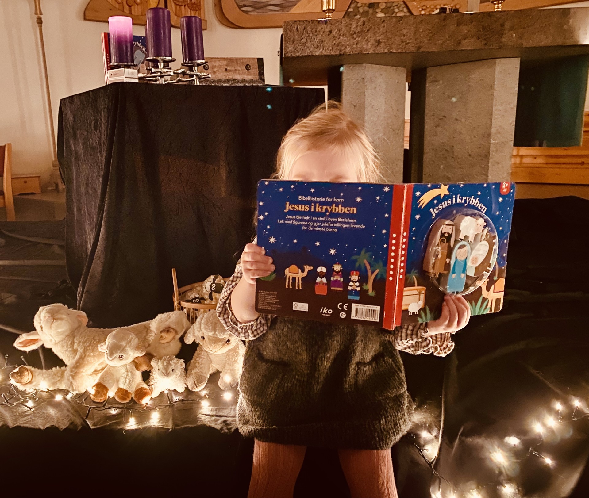 Hjelp gjeteren å finne sauen Krølle!