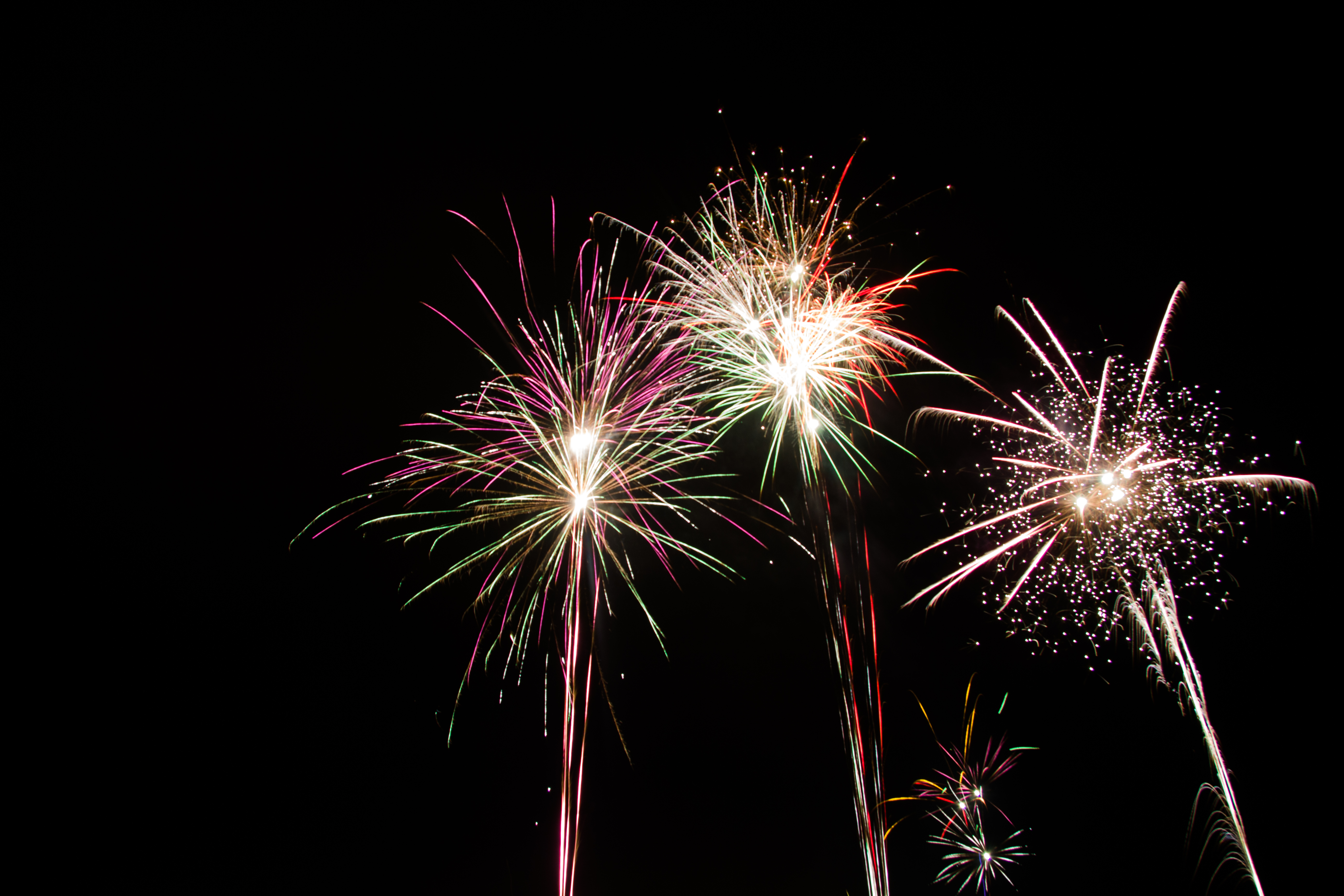 Foto: Therese Wium Jakobsen