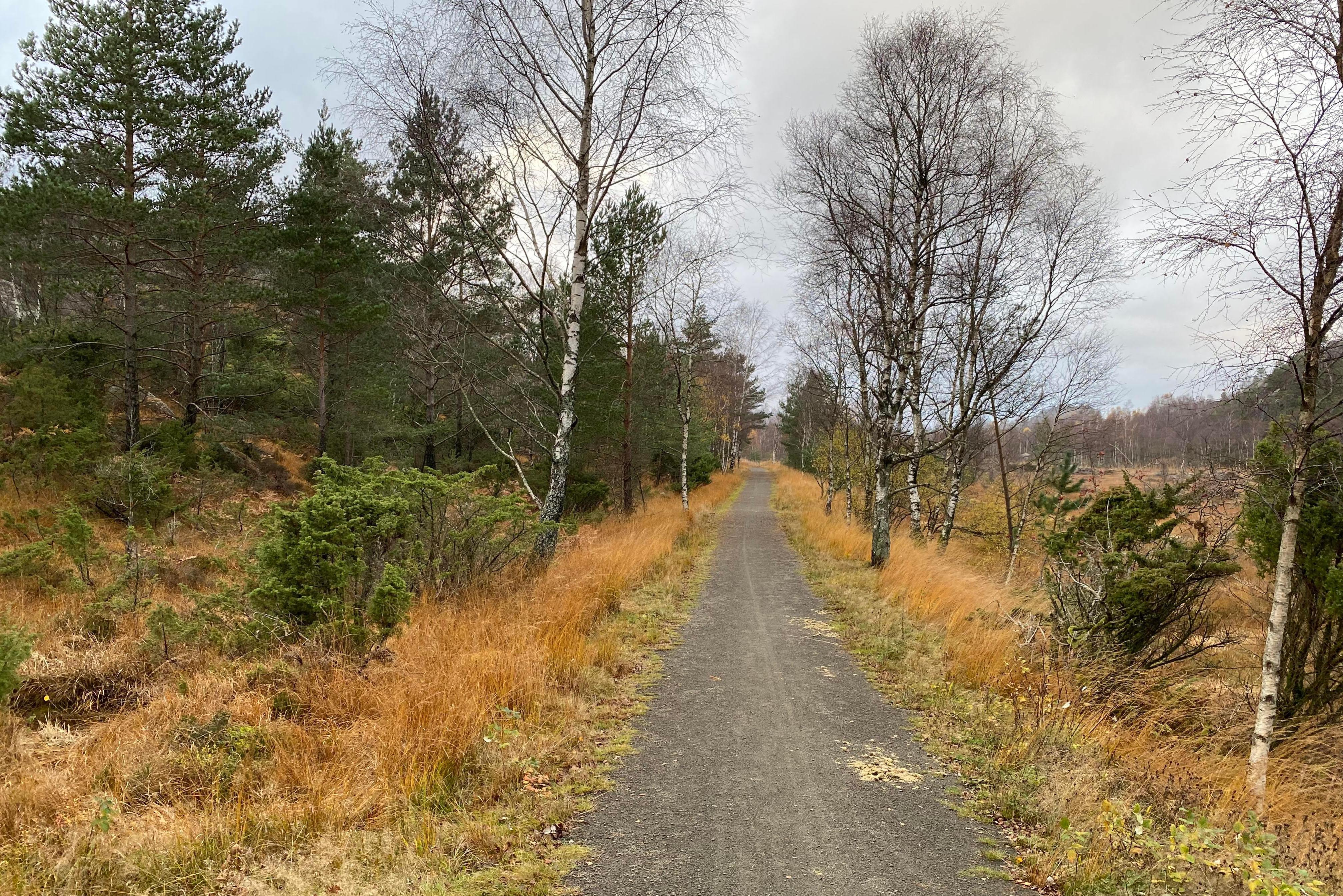 Foto: Bjørn Magne Jakobsen