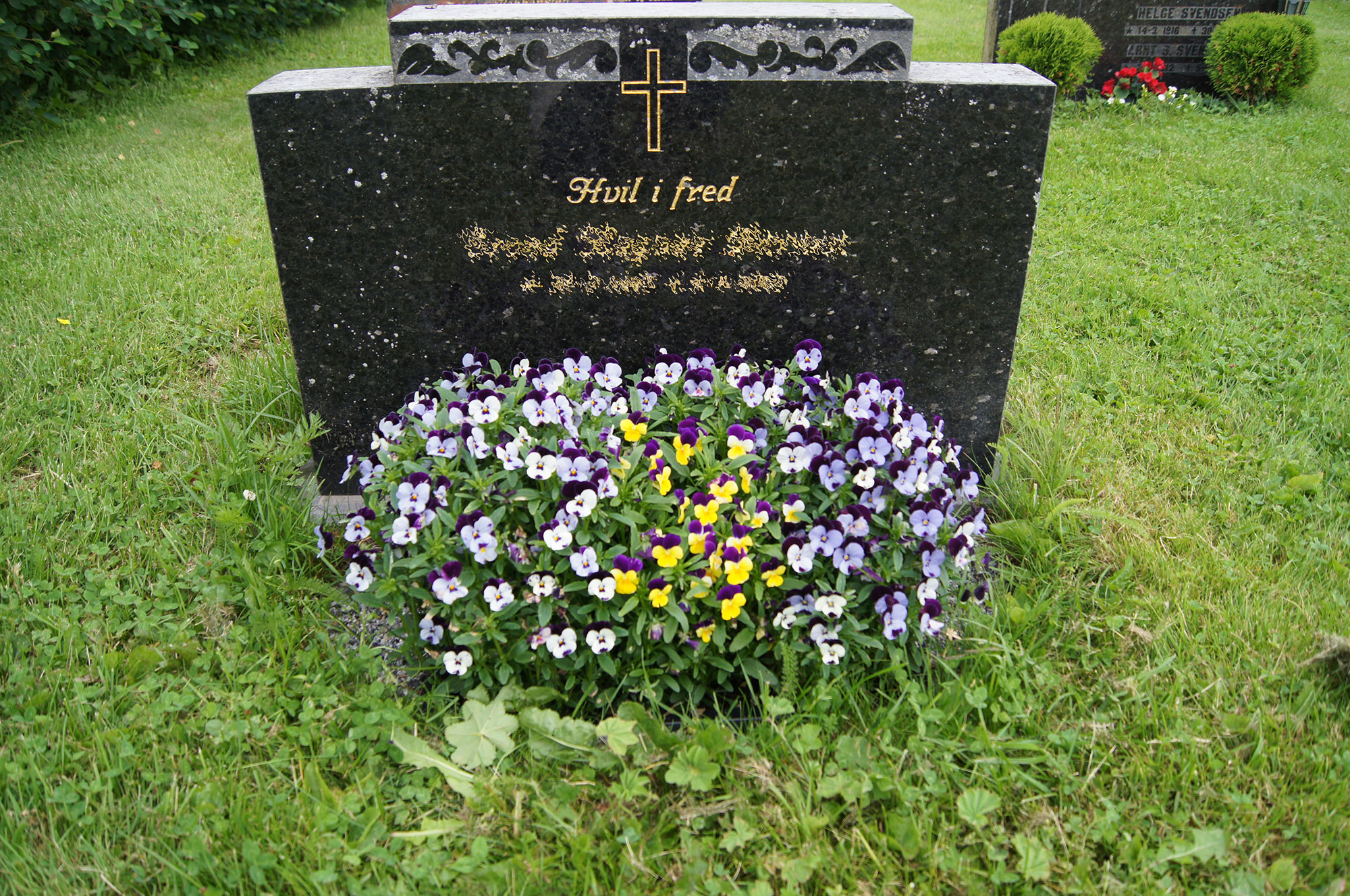 Eksempel på vårplanting