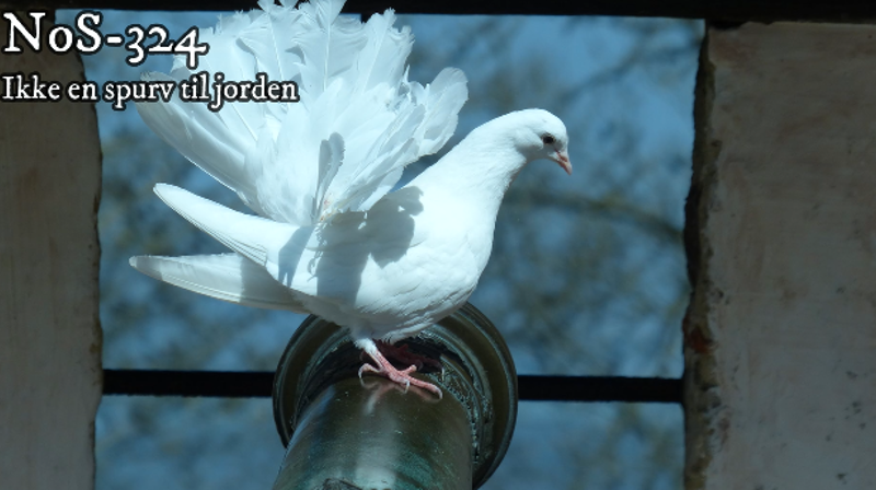 Foto: Jostein Tegnér