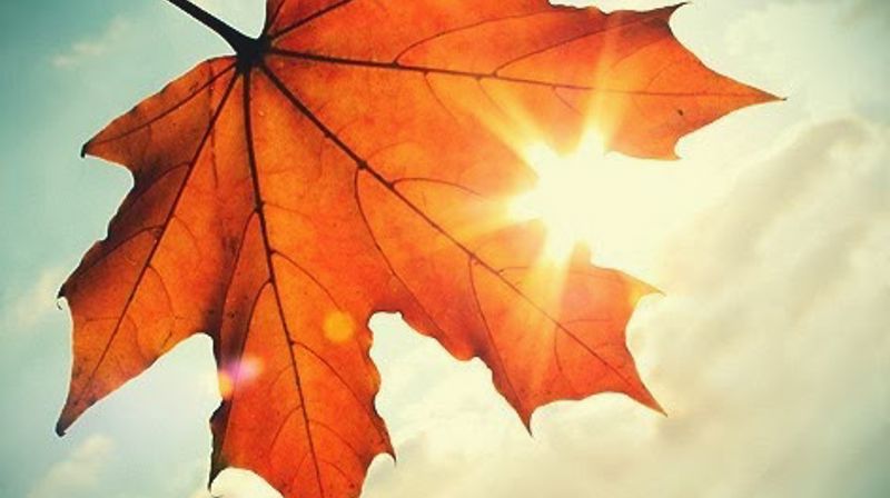 Familiegudsteneste 3. oktober kl. 16.30