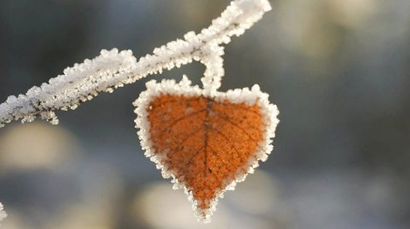 Gudsteneste 21. februar kl. 11.00 og 11.45