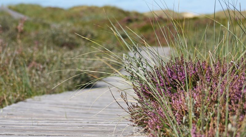 Gudsteneste 4. september kl. 11