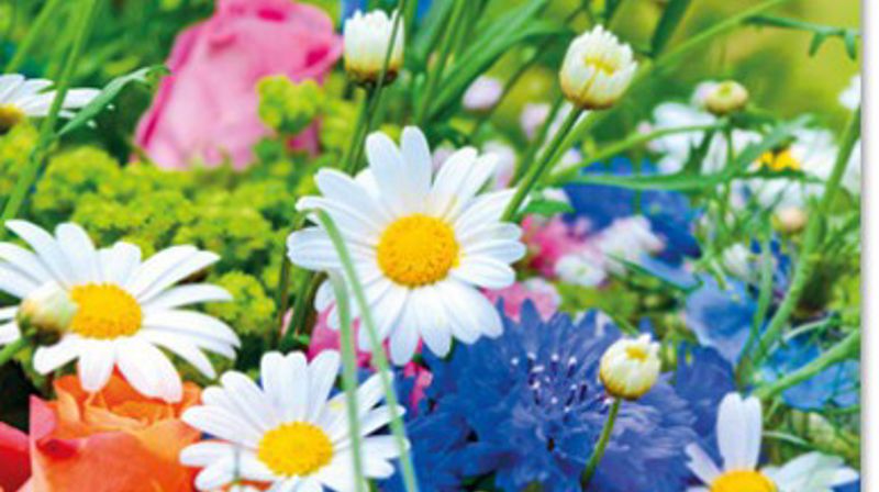 Gudsteneste 16. august