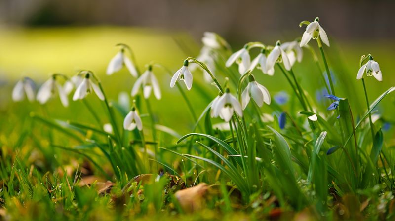 Familiegudsteneste i Taraldsevjo