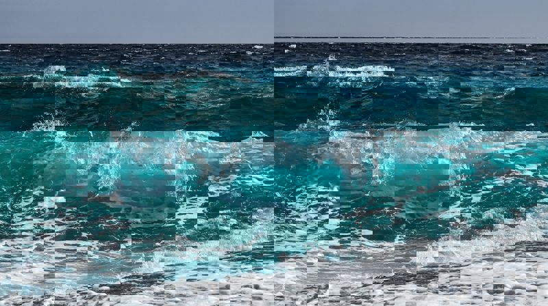 Kontoret stengt 2.januar