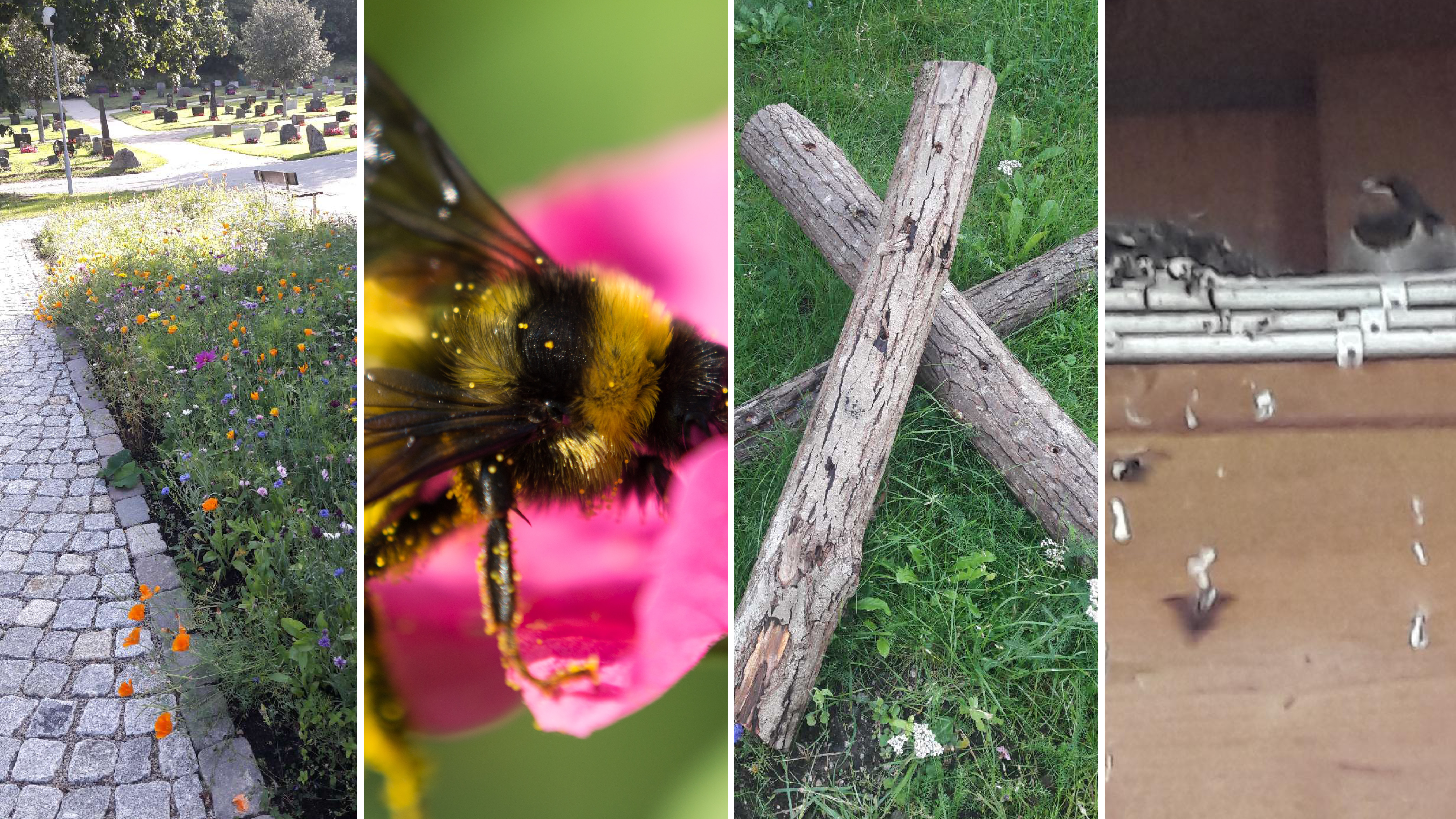 Foto: Kjell Brevik og Philip Mullen