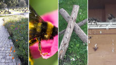 Foto: Kjell Brevik og Philip Mullen