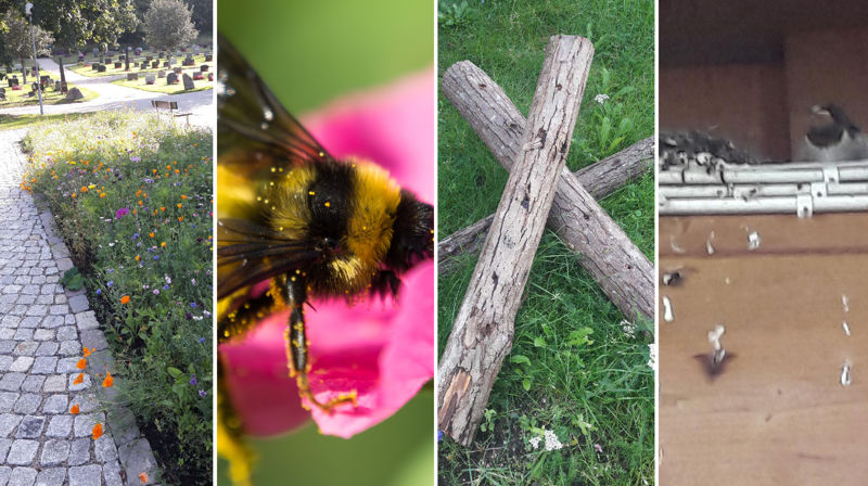 Foto: Kjell Brevik og Philip Mullen